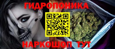 гидра Обь